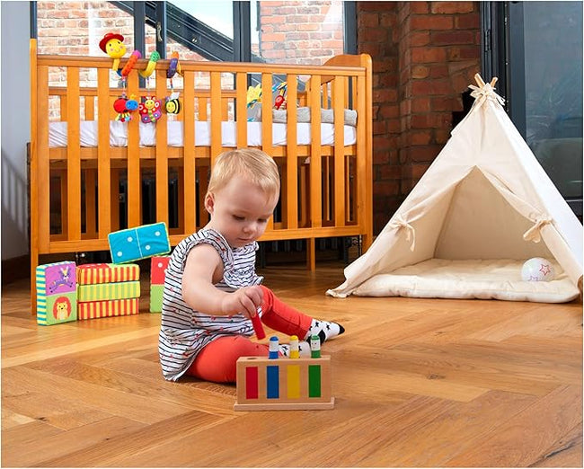 Galt Pop-Up Toy - Colourful Wooden Sensory Toy for Boys and Girls -Early Learning Cause and Effect Toy for Colour Recognition and Motor Skills Development - First Birthday Gift for Ages 12 Months Plus Main Image
